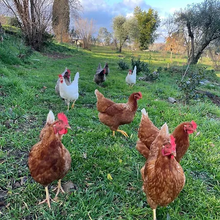 Merula Antica Dimora Agricola