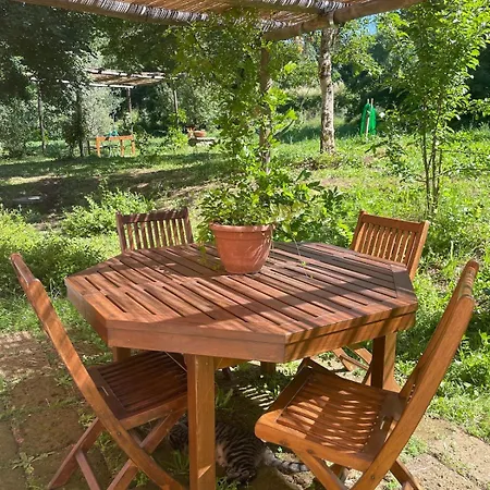 Merula Antica Dimora Agricola Отель типа 