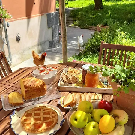 Merula Antica Dimora Agricola Alojamento de Acomodação e Pequeno-almoço