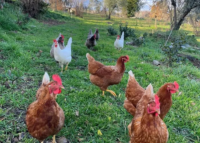 Merula Antica Dimora Agricola