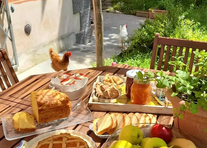 Merula Antica Dimora Agricola Alojamento de Acomodação e Pequeno-almoço
